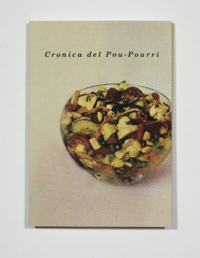 Cronica del Pou-Pourri . 31 x 21,5 x 2,2 cm . Siebdruck . 6 Farben